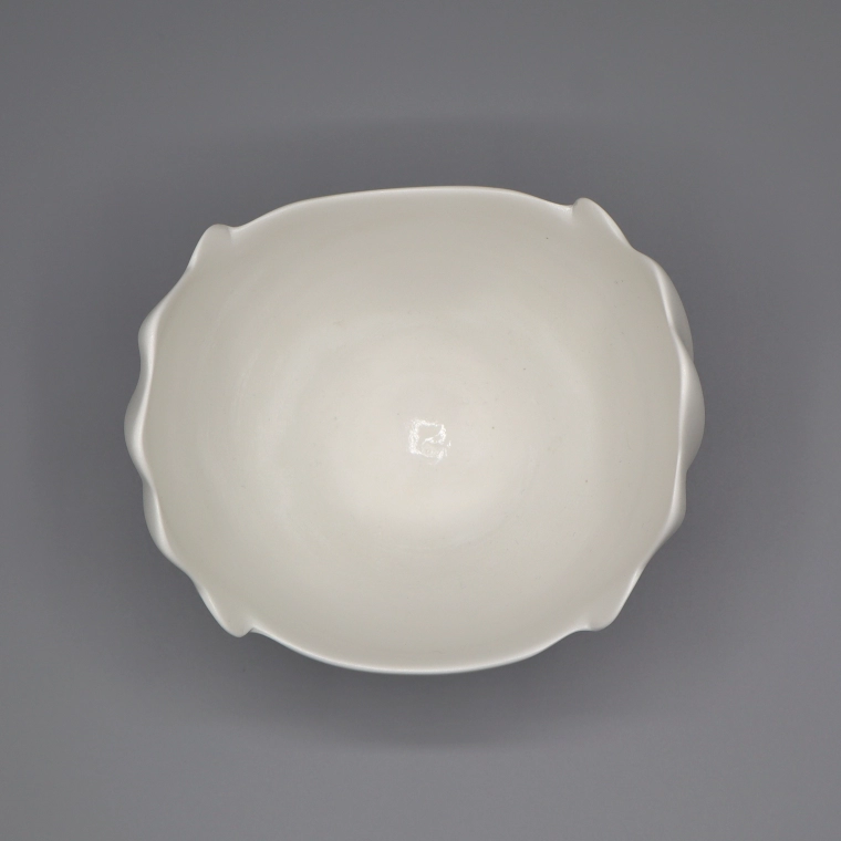 photo White Porcelain Bowl