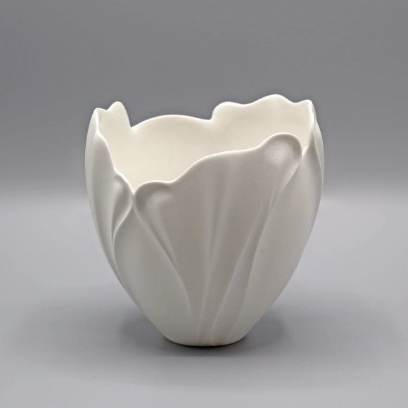White Porcelain Bowl