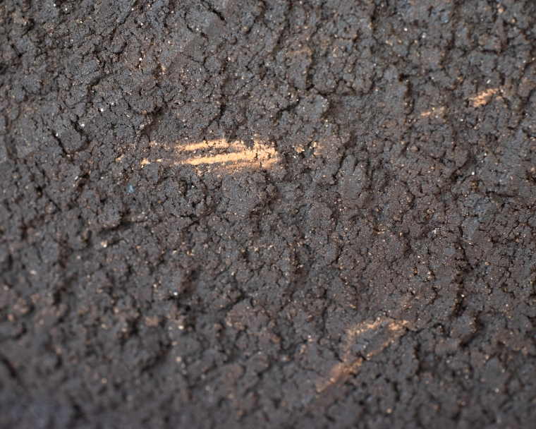 写真：Black Ripple Form