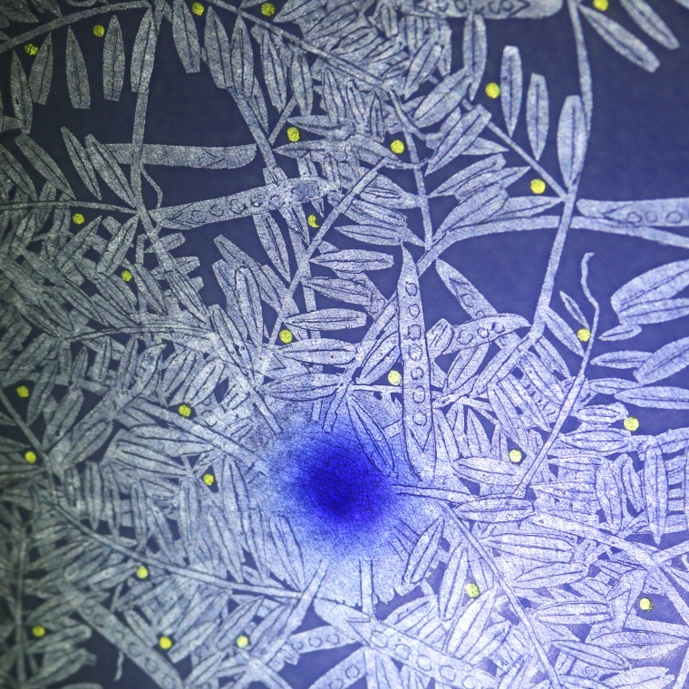 写真：淡青釉裏銀彩草叢文飾皿