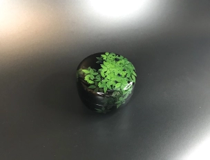 Tea Container "Yabugarashi"