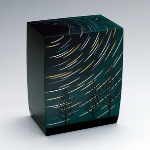 Box with design in kirikane and raised urushi picture. “Star trail”
