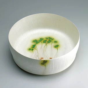 Bowl with silver and overglaze enamel decoration.