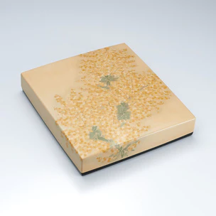 籃胎蒟醬存清色紙箱「銀葉アカシヤ」