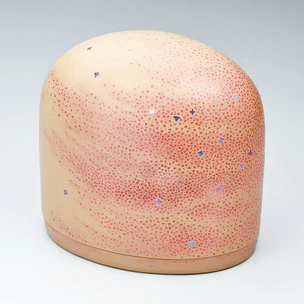 Box with Design of Cherry Blossoms in Full Bloom Looking Like Haze in Chinkin