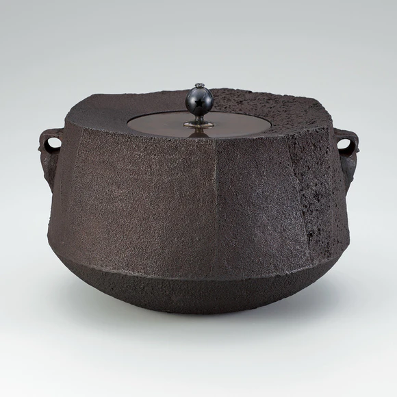 Faceted tea ceremony kettle with design differing in halves  “Forest whisper”