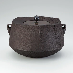 Faceted Tea Ceremony Kettle with Design Differing in Halves “Forest Whisper”