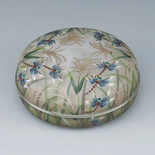 Cloisonne covered vessel. “Dragonfly”