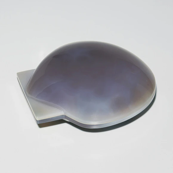 Covered Vessel in Shape of Scallop