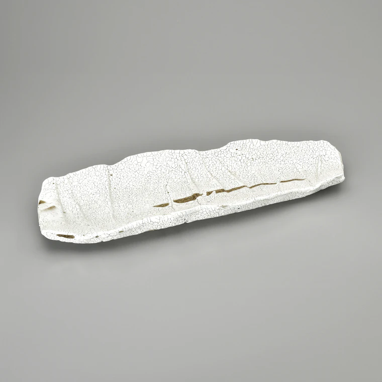 photo Rectangular Plate Covered with White Slip