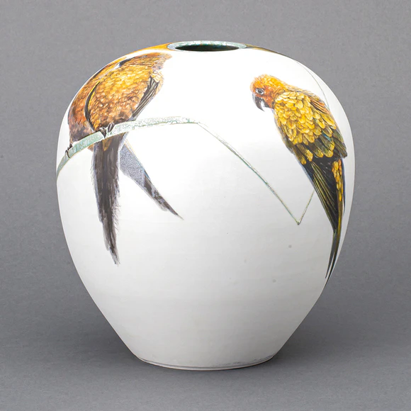 コガネメキシコインコ図壺