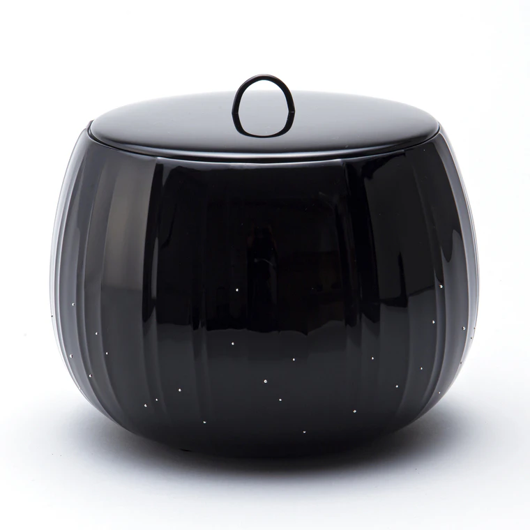 photo Karatsu Tea Ceremony Fresh Water Jar "Rain Everywhere"