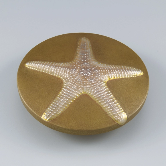 Heat-welded Hammered Brass and Silver Vessel "Moonlit Beach Cushion Sea Star"
